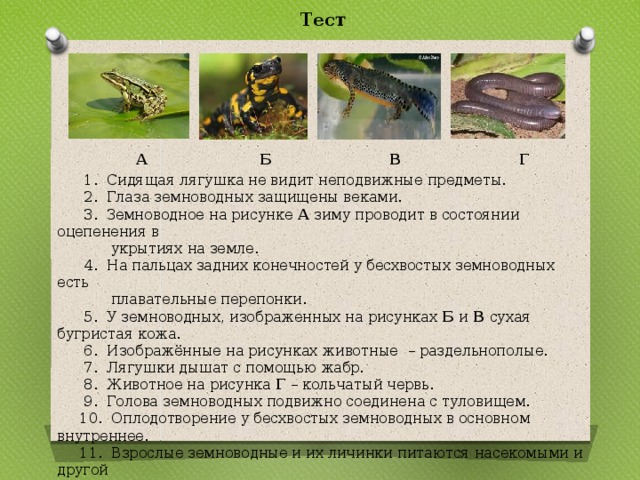 Из приборов изображенных на рисунках выберите тот с помощью которого можно получить углекислый газ