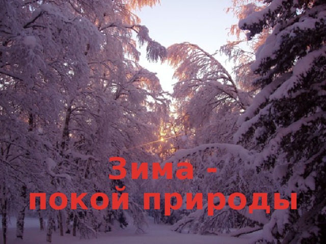 Зима - покой природы