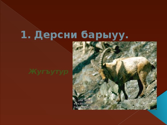 Дерсни барыуу.     Жугъутур 