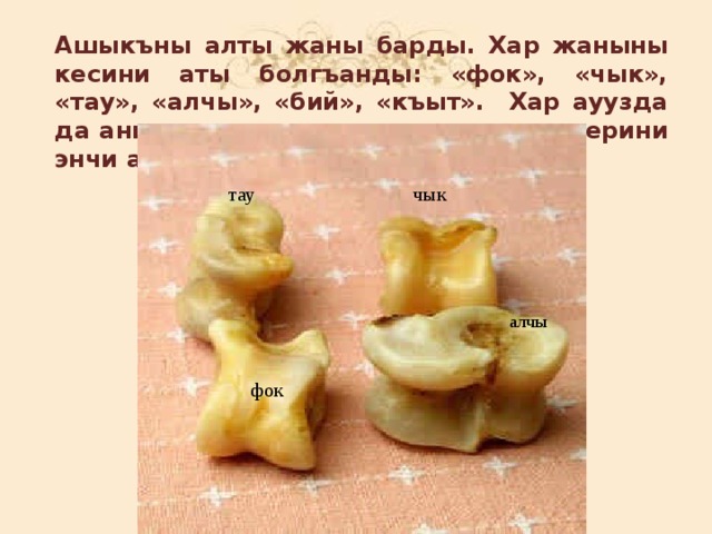Ашыкъны алты жаны барды. Хар жаныны кесини аты болгъанды: «фок», «чык», «тау», «алчы», «бий», «къыт». Хар ауузда да анга ашыкъланы жанларыны кеслерини энчи атлары болгъанды чык тау алчы фок 
