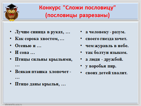 Сложить поговорки. Пословицы о болтунах. Пословица видна птица по полету. Иллюстрация к пословице лучше синица в руках чем журавль в небе. И Сова своих детей хвалит смысл.