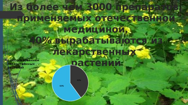 Из более чем 3000 препаратов, применяемых отечественной медициной, 40% вырабатываются из лекарственных растений 