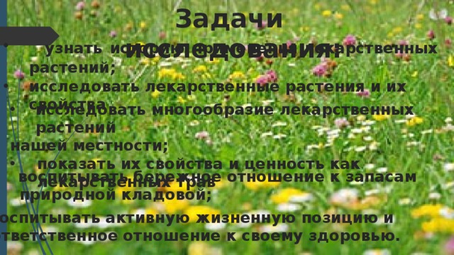 Задачи исследования: узнать историю применения лекарственных растений; исследовать лекарственные растения и их свойства исследовать многообразие лекарственных растений нашей местности; показать их свойства и ценность как лекарственных трав воспитывать бережное отношение к запасам природной кладовой; воспитывать активную жизненную позицию и ответственное отношение к своему здоровью. 