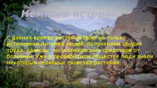 Немного истории С давних времён растения были не только источником питания людей, получением орудия труда, одежды , но и прекрасным средством от болезней. Уже в первобытном обществе люди знали некоторые целебные свойства растений. 