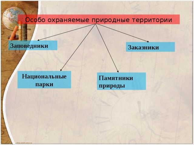 Заповедники ленобласти презентация