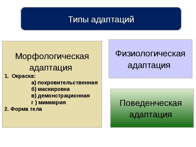 Типы адаптаций Физиологическая адаптация  Морфологическая адаптация  Окраска:  а) покровительственная  б) маскировка  в) демонстрационная  г ) мимикрия 2. Форма тела  Поведенческая адаптация   