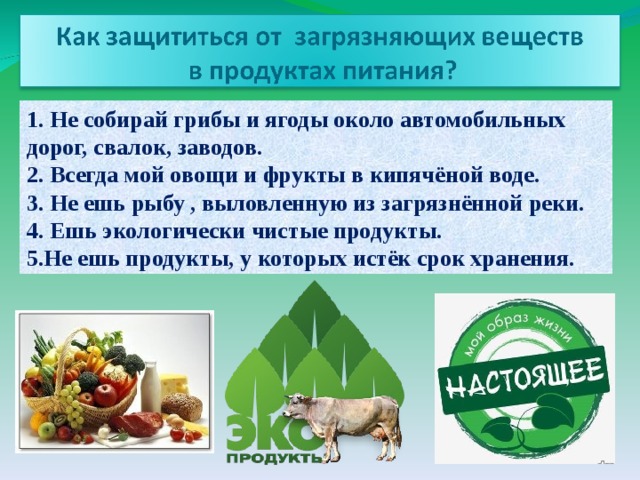 Современные требования к экологической безопасности продуктов питания проект