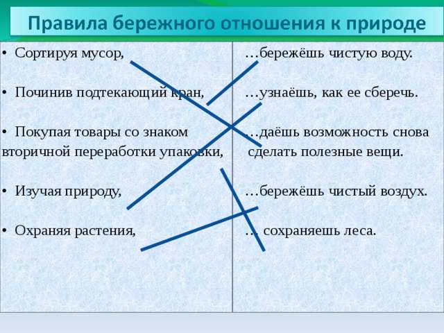 Правила бережного отношения к природе картинки