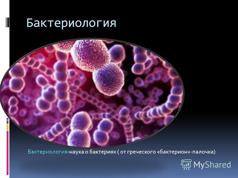 Наука изучающая бактерии называется. Бактериология это наука о. Наука изучающая бактерии. Что изучает бактериология. Наука о микроорганизмах.