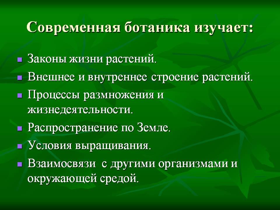 Ботаника проект 6 класс "Царства природы" - Начальные классы - Уроки - 2 класс