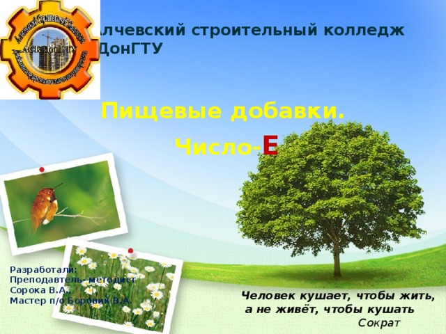 Алчевский строительный колледж  ДонГТУ   Пищевые добавки.  Число- Е  Разработали: Преподавтель- методист Сорока В.А., Мастер п/о Боровик В.А. Человек кушает, чтобы жить,  а не живёт, чтобы кушать  Сократ  