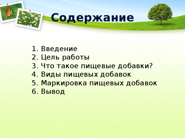 Содержание 1. Введение 2. Цель работы 3. Что такое пищевые добавки? 4. Виды пищевых добавок 5. Маркировка пищевых добавок 6. Вывод 