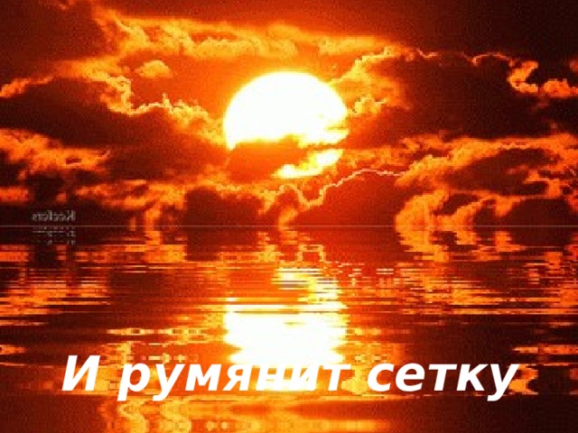 И румянит сетку небосклона. 