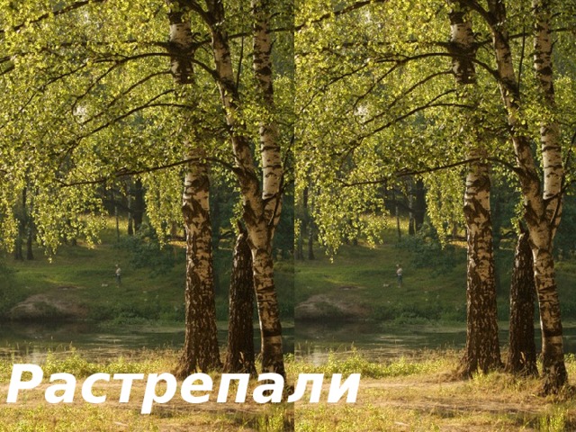 Растрепали шелковые косы.   