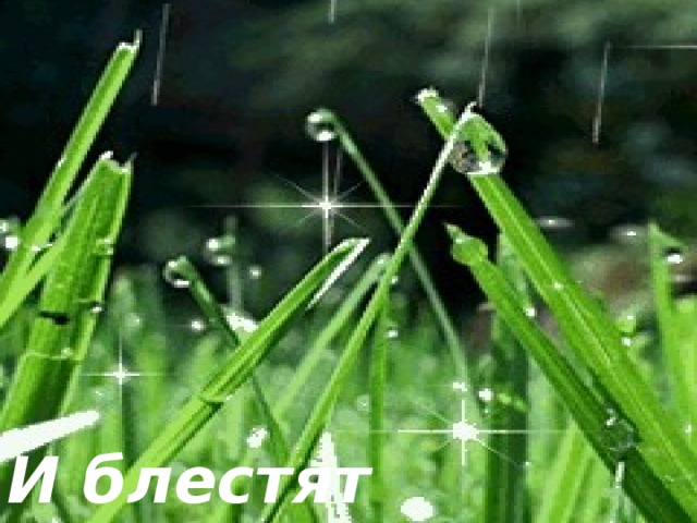 И блестят серебряные росы 