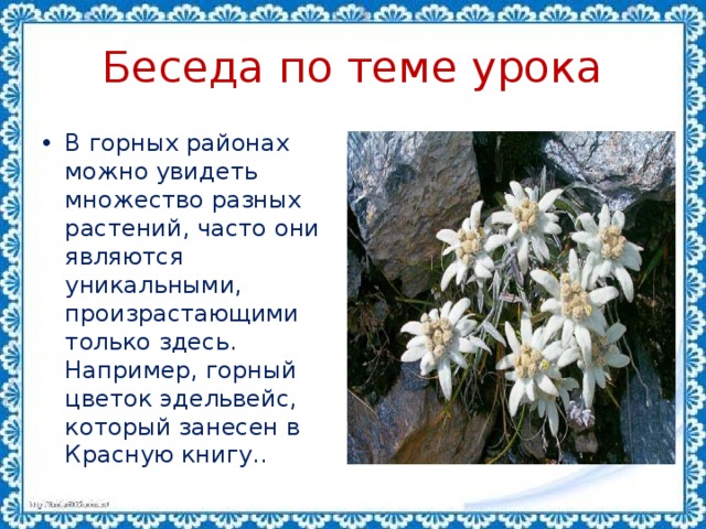 Беседа по теме урока В горных районах можно увидеть множество разных pacтений, часто они являются уникальными, произрастающими только здесь. Например, горный цветок эдельвейс, который занесен в Красную книгу.. 