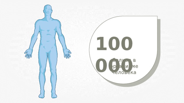 100 000 белков в организме человека 