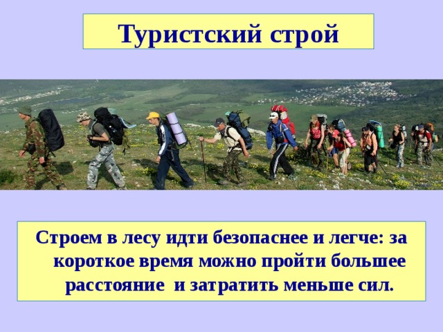 Туристский строй Строем в лесу идти безопаснее и легче: за короткое время можно пройти большее расстояние и затратить меньше сил. 