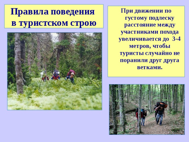 Правила поведения  в туристском строю При движении по густому подлеску расстояние между участниками похода увеличивается до 3-4 метров, чтобы туристы случайно не поранили друг друга ветками. 