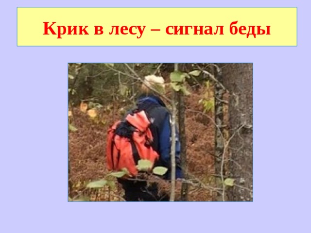 Крик в лесу – сигнал беды 