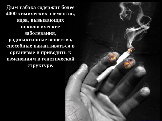 Дым табака содержит более 4000 химических элементов, ядов, вызывающих онкологические заболевания, радиоактивные вещества, способные накапливаться в организме и приводить к изменениям в генетической структуре. 