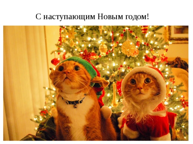 С наступающим Новым годом! 