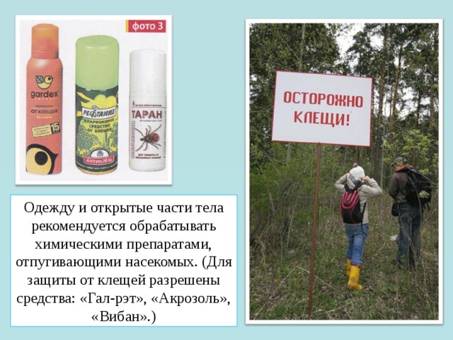 Одежду и открытые части тела рекомендуется обрабатывать химическими препаратами, отпугивающими насекомых. (Для защиты от клещей разрешены средства: «Гал-рэт», «Акрозоль», «Вибан».) 