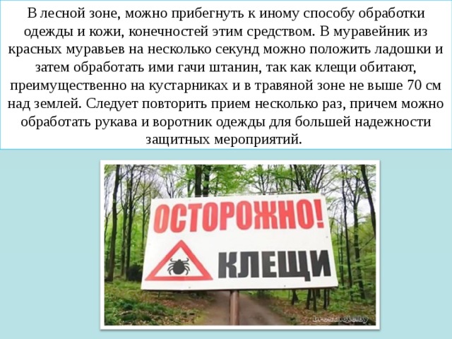 В лесной зоне, можно прибегнуть к иному способу обработки одежды и кожи, конечностей этим средством. В муравейник из красных муравьев на несколько секунд можно положить ладошки и затем обработать ими гачи штанин, так как клещи обитают, преимущественно на кустарниках и в травяной зоне не выше 70 см над землей. Следует повторить прием несколько раз, причем можно обработать рукава и воротник одежды для большей надежности защитных мероприятий. 