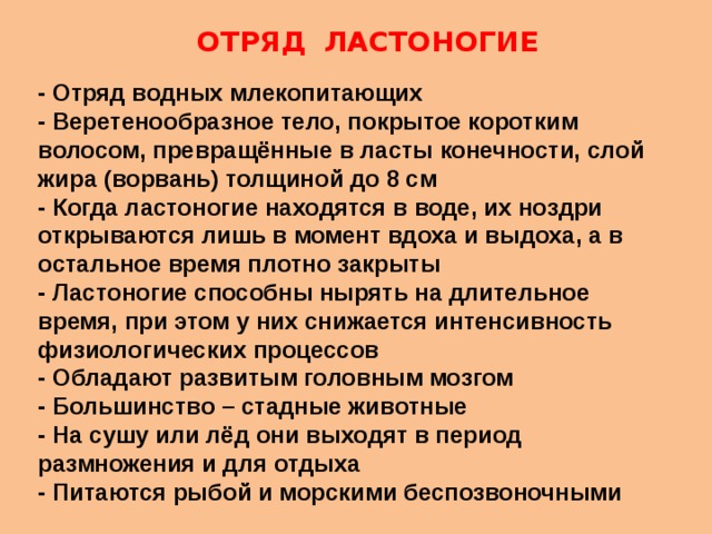 ОТРЯД ЛАСТОНОГИЕ - Отряд водных млекопитающих - Веретенообразное тело, покрытое коротким волосом, превращённые в ласты конечности, слой жира (ворвань) толщиной до 8 см - Когда ластоногие находятся в воде, их ноздри открываются лишь в момент вдоха и выдоха, а в остальное время плотно закрыты - Ластоногие способны нырять на длительное время, при этом у них снижается интенсивность физиологических процессов - Обладают развитым головным мозгом - Большинство – стадные животные - На сушу или лёд они выходят в период размножения и для отдыха - Питаются рыбой и морскими беспозвоночными 