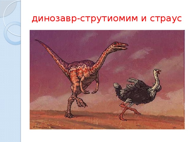 динозавр-струтиомим и страус 