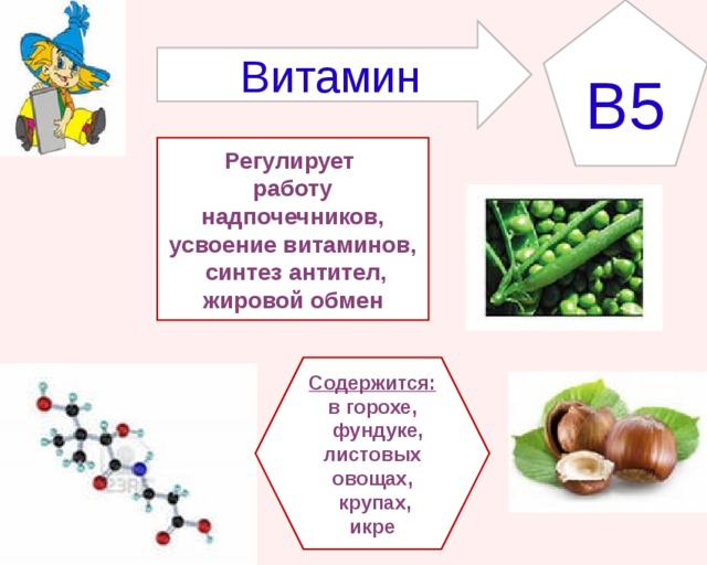 Проект биология 8 класс витамины