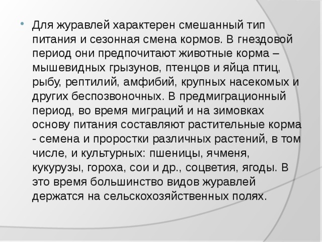 Какой тип питания характерен для каракатицы лекарственной изображенной на рисунке