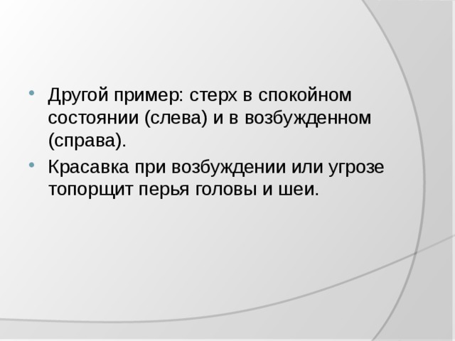 Успешно действовать в rage control можно только в спокойном состоянии верно или нет