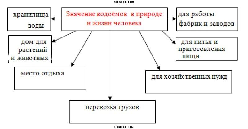 Составьте схему окружающий мир