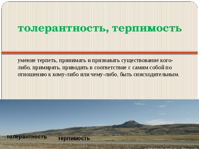 толерантность, терпимость умение терпеть, принимать и признавать существование кого-либо, примирять, приводить в соответствие с самим собой по отношению к кому-либо или чему-либо, быть снисходительным. толерантность терпимость 