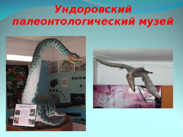 Палеонтологический музей презентация