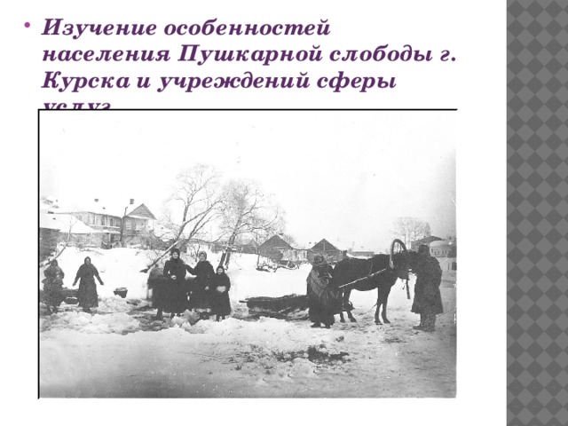 Изучение особенностей населения Пушкарной слободы г. Курска и учреждений сферы услуг 