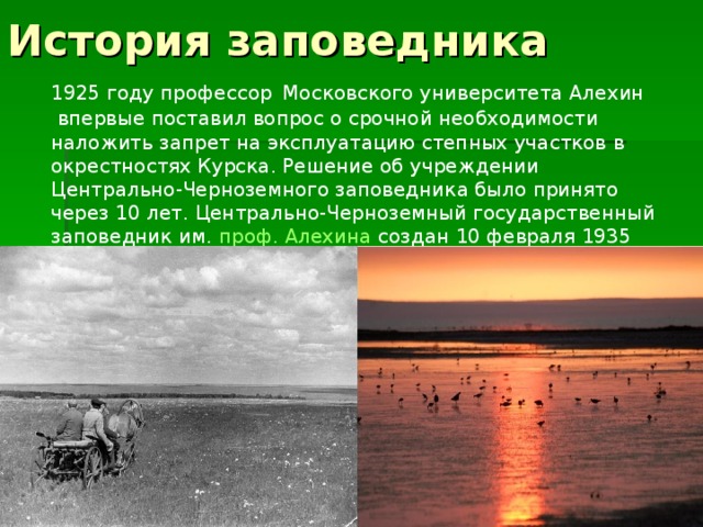 Заповедник имени. История заповедников. Заповедник им Алехина. Сообщение о заповеднике Алехина. Заповедники Курска.