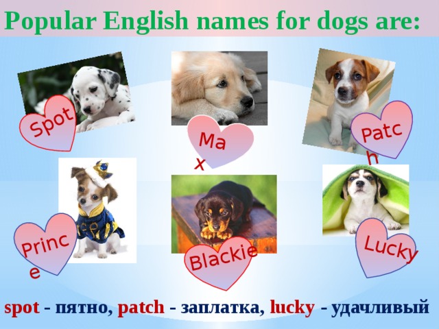 Pets 2 класс. Names for Dogs English. Популяр на английском. Dogs nicknames in England.