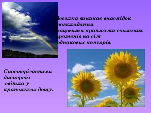 Веселка виникає внаслідок  розкладання дощовими краплями сонячних променів на сім  однакових кольорів.   Спостерігається дисперсія  світла у крапельках дощу. 