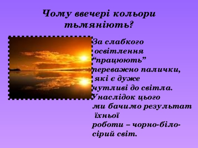 Чому ввечері кольори тьмяніють? За слабкого  освітлення “ працюють” переважно палички,  які є дуже чутливі до світла. Унаслідок цього ми бачимо результат  їхньої роботи – чорно-біло- сірий світ. 