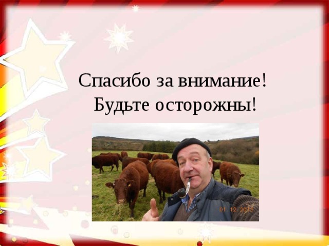 Спасибо за внимание! Будьте осторожны! 