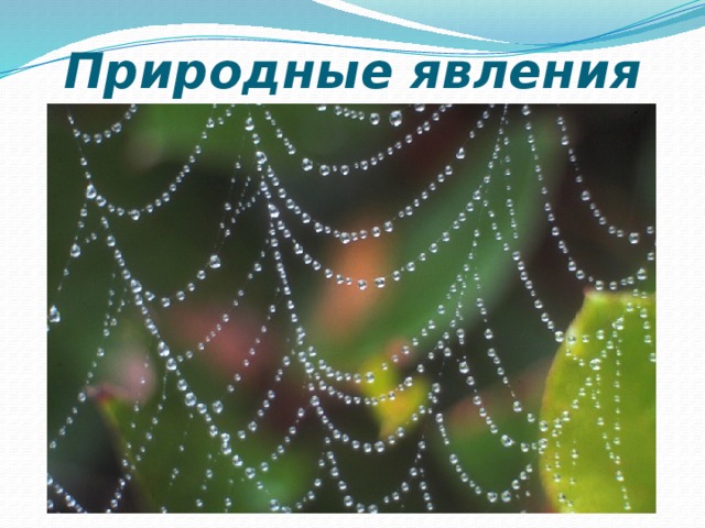 Природные явления 