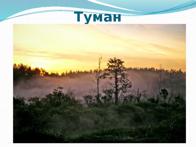 Туман 