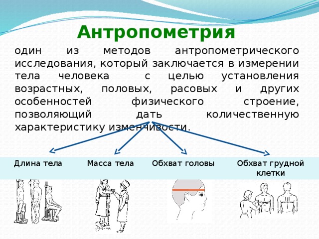 Антропометрические исследования. Структура антропометрии схема. Антропометрические методы исследования физического развития. Антропометрия включает схема. Метод антропометрический физического развития.