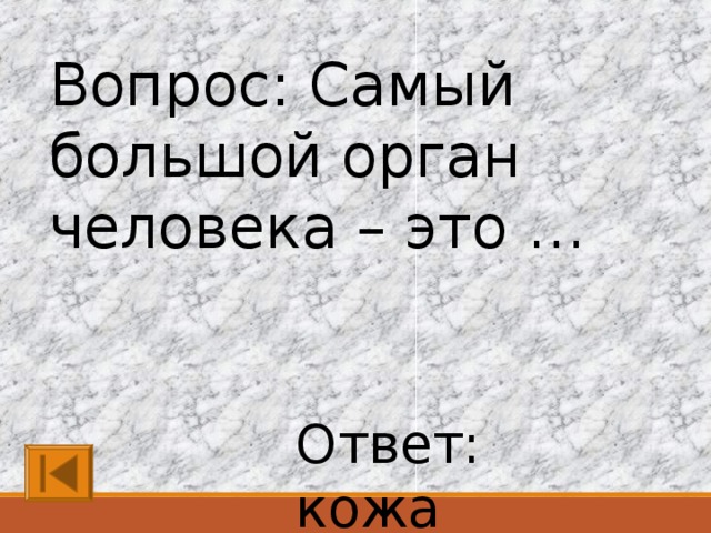 Самый большой орган у человека