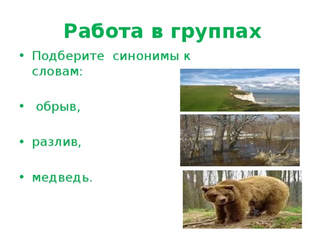 Работа в группах Подберите синонимы к словам:  обрыв, разлив, медведь. 