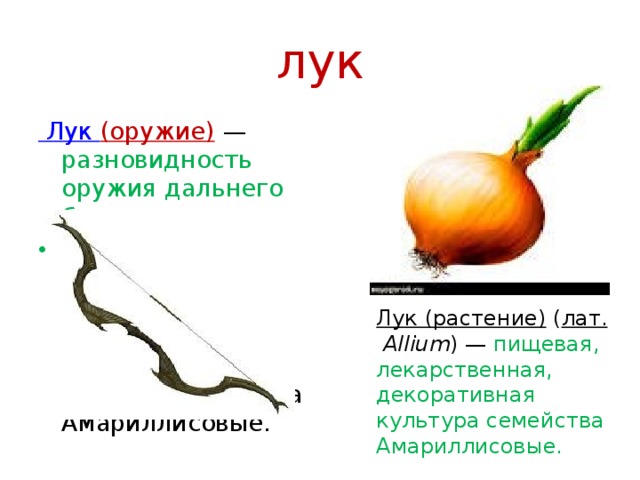 Лук (растение)   ( лат.   Allium ) — пищевая, лекарственная, декоративная культура семейства Амариллисовые. лук Лук (оружие)   — разновидность оружия дальнего боя. Лук (растение)  ( лат.   Allium  — пищевая, лекарственная, декоративная культур семейства Амариллисовые. 