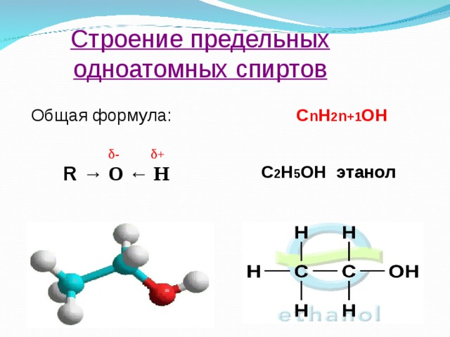 Строение предельных одноатомных спиртов Общая формула: С n H 2 n +1 OH  δ - δ + R → O ← H C 2 H 5 OH этанол 