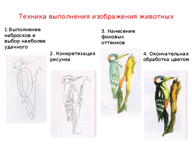 Техника исполнения рисунка какая бывает